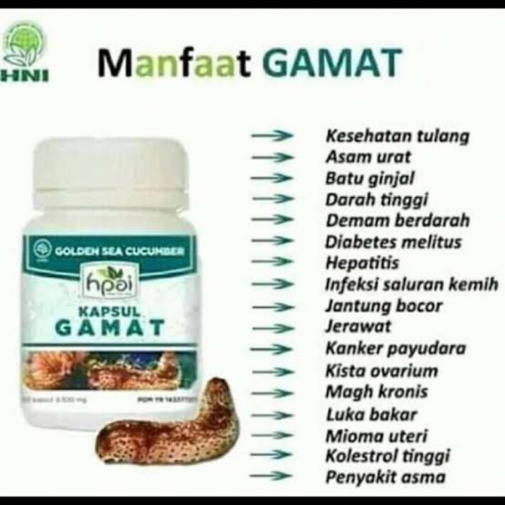 Gamat Kapsul Herba Nyeri Sendi 3