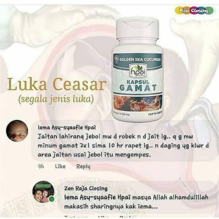 Gamat Kapsul Herba Nyeri Sendi 4