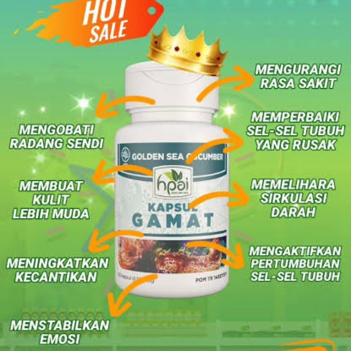 Gamat Kapsul Herba Nyeri Sendi 5