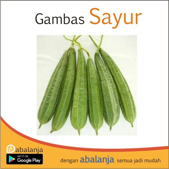 Gambas 1 Buah