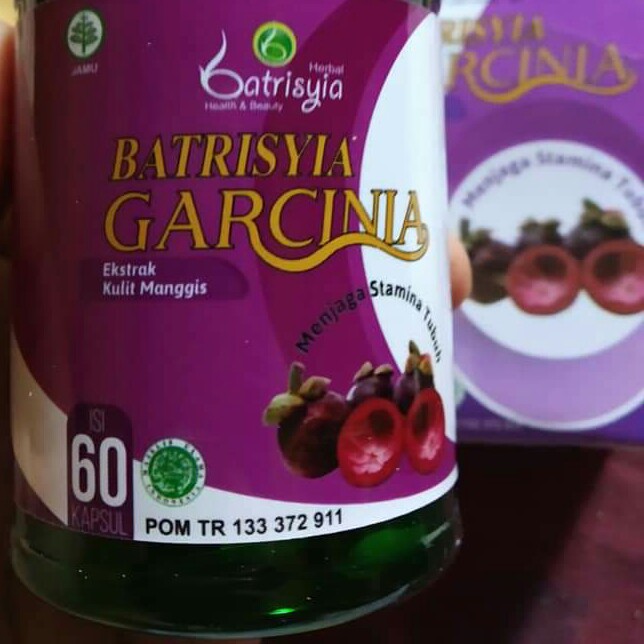 Garcinia Batrisyia 2