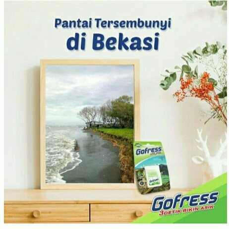 Gofress Spapermint