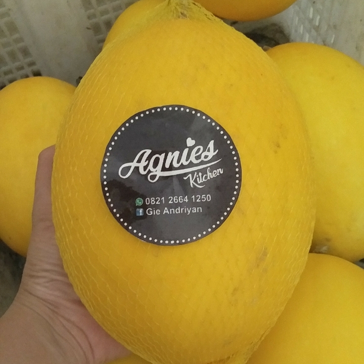 Golden Melon