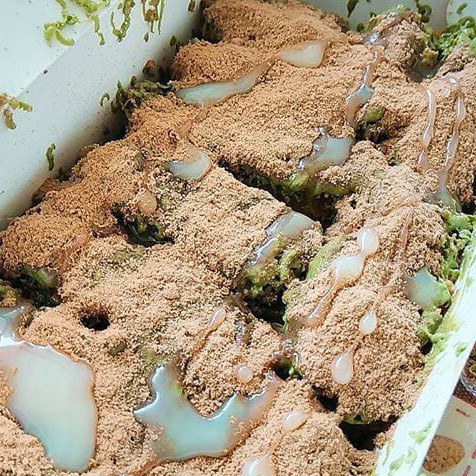 Nugget Greentea Milo