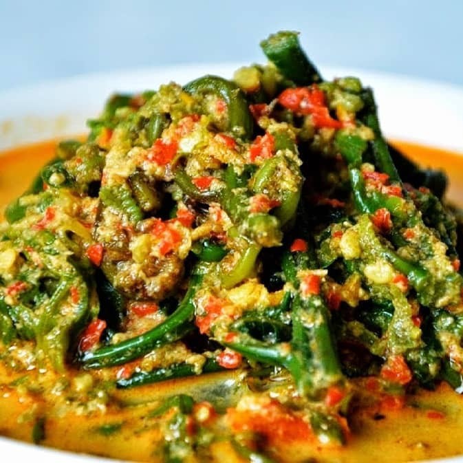 Gulai Pakis