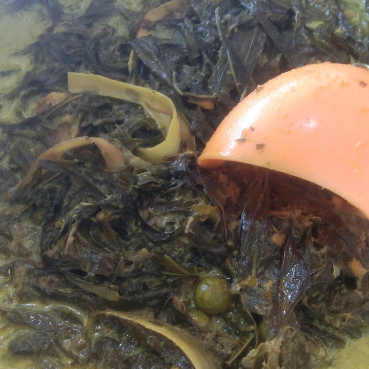 Gulai Pucuak Ubi Kincuang