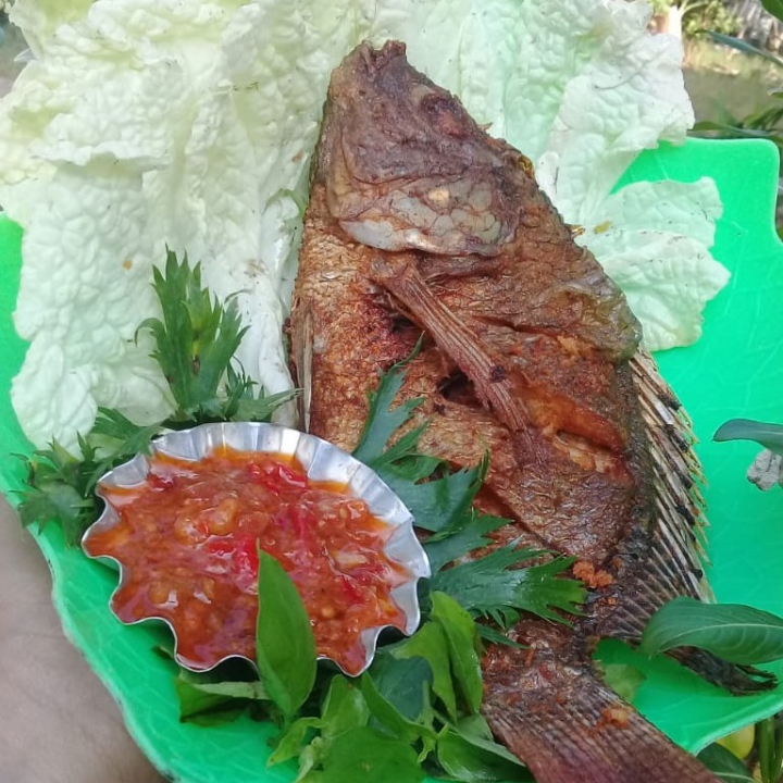 Gurame Goreng