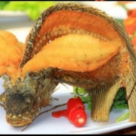 Gurame Goreng Kering