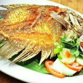 GURAMI KECIL