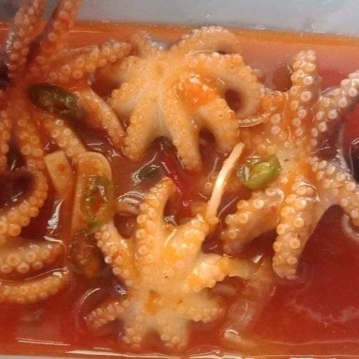 Gurita