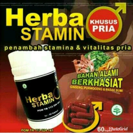 HERBASTAMIN Herbal Khusus Stamina Pria