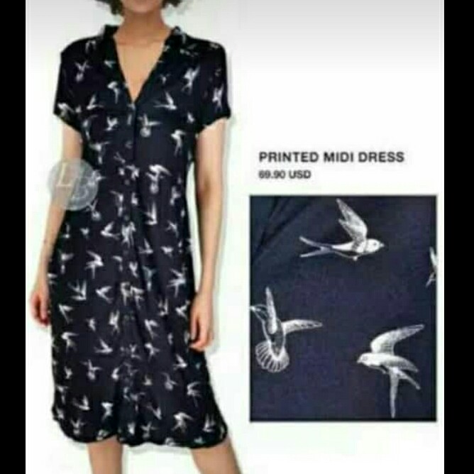 HM Swallow Dress