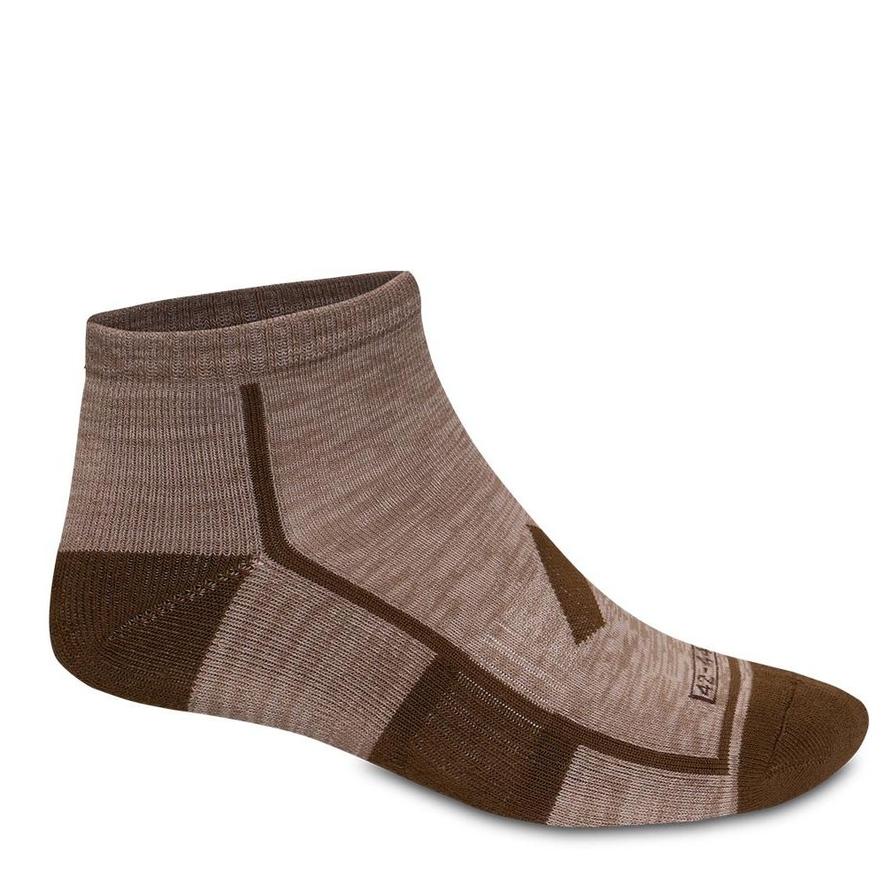 HOARY SOCKS