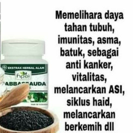 Habbatussauda 2