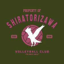 Haikyuu Shiratorizawa Vol 5