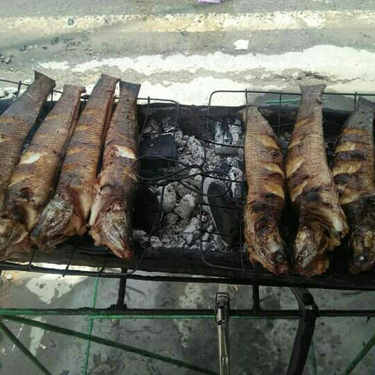 Haruan Bakar