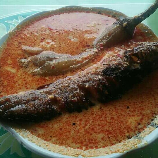 Haruan Opor Tarung