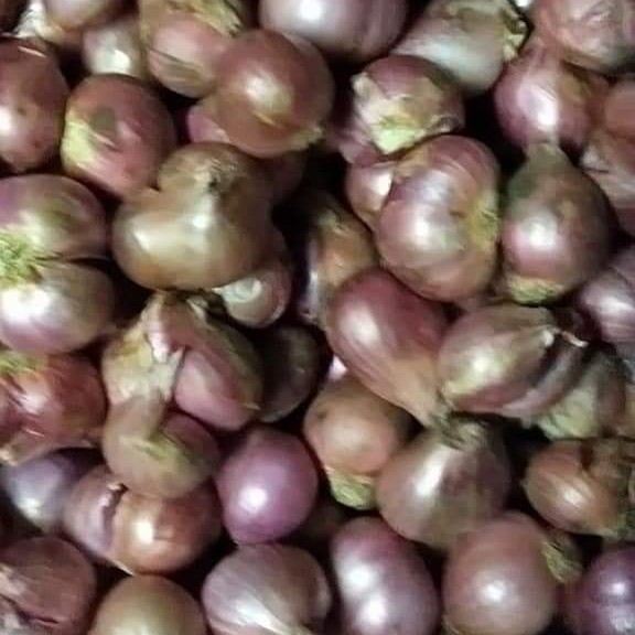 Bawang