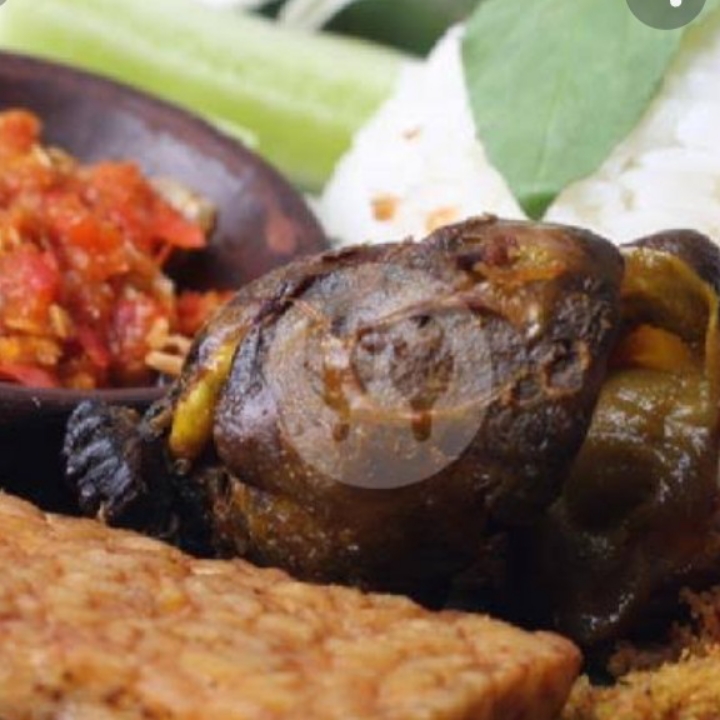 Hati Ampela Goreng