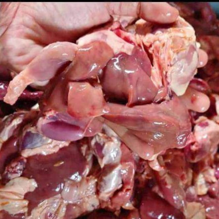 Hati Dan Ampela Ayam Frozen