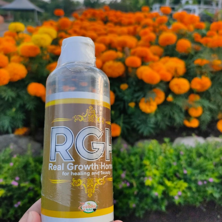 Herbal Zeeida RGH Premium