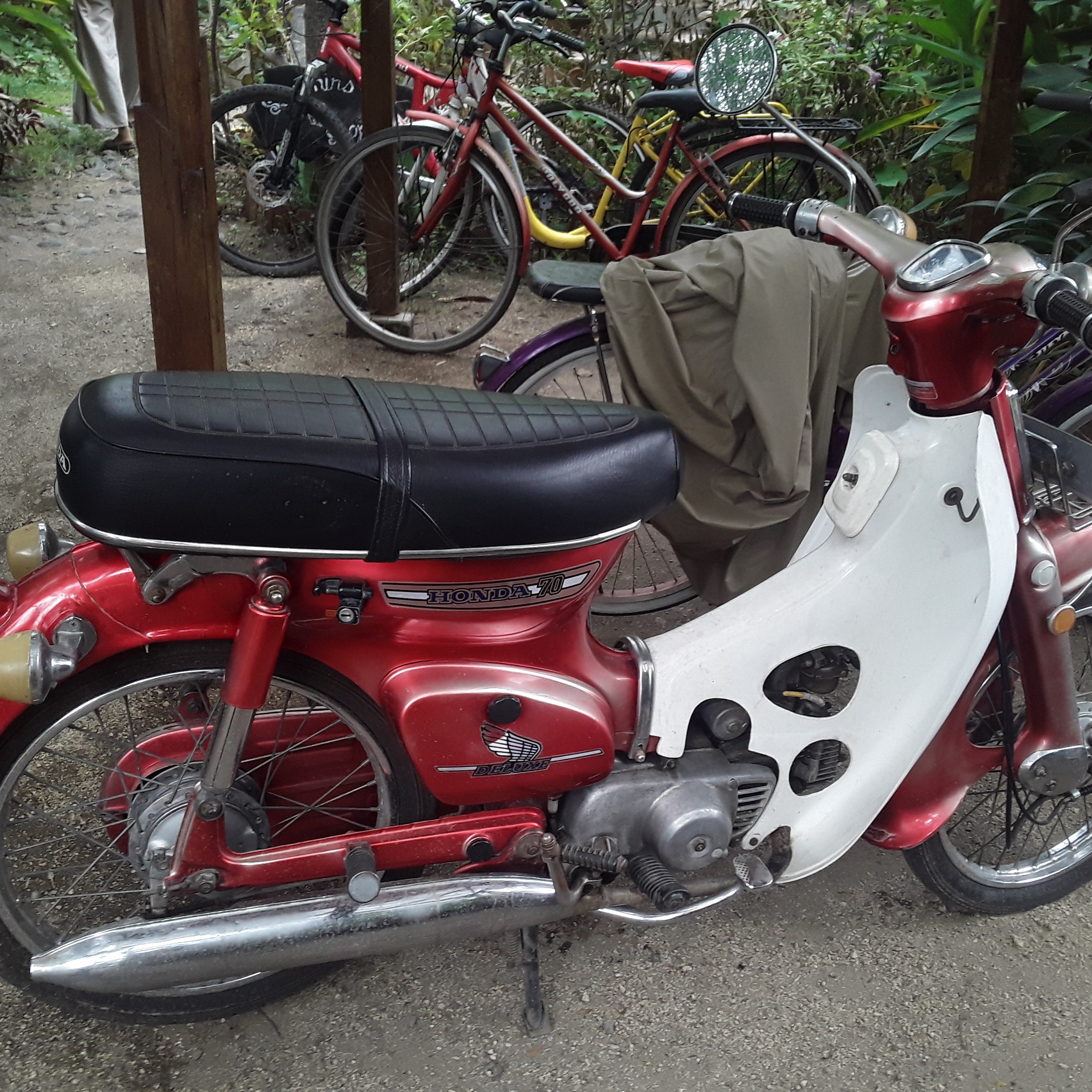 Honda C70
