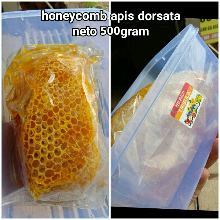 HoneyComb Odeng