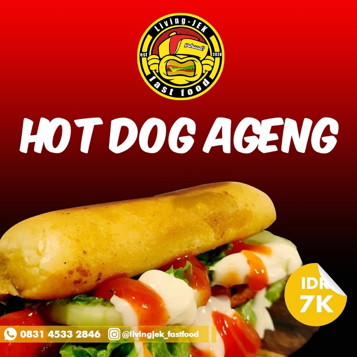 Hot DOG Telur