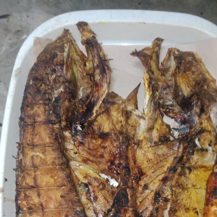 IKAN LAUT TONGKOL BAKAR 1 KG