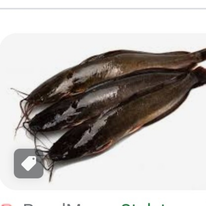IKAN LELE 3