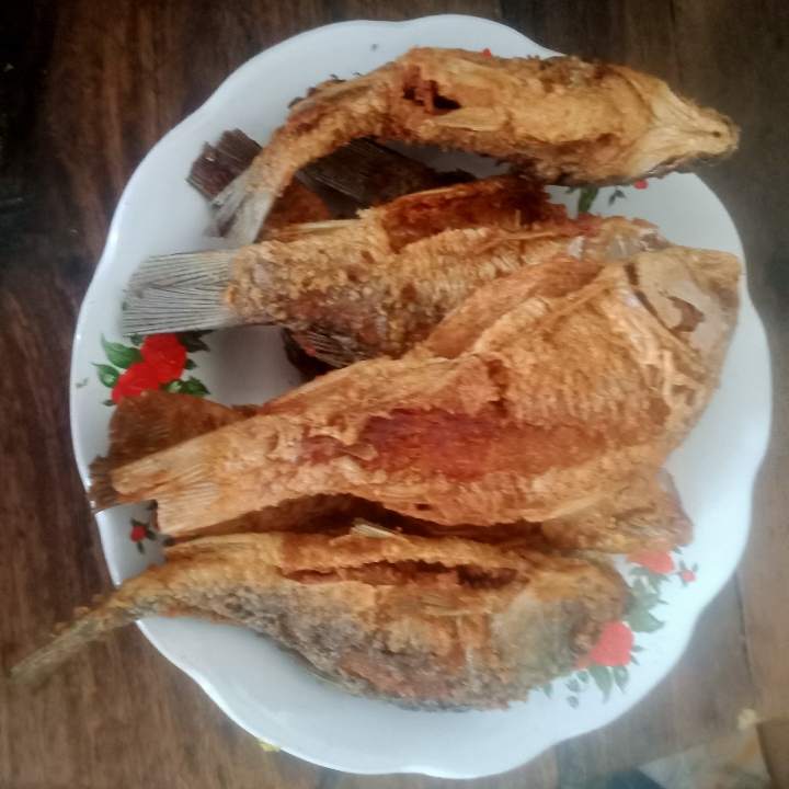 IKAN MAS GORENG PAKAI NASI