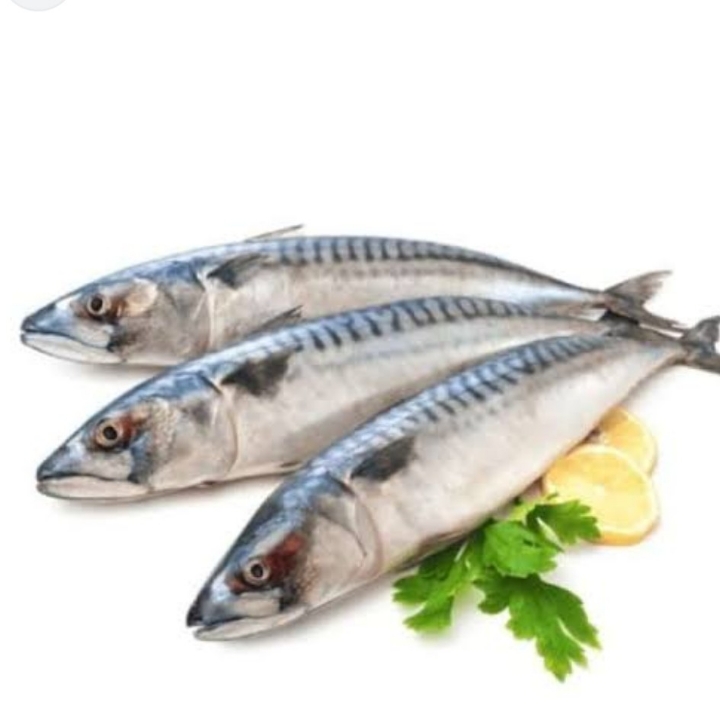 IKAN TENGGIRI