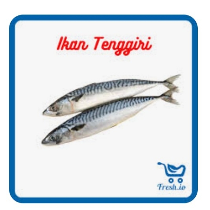 IKAN TENGGIRI 2