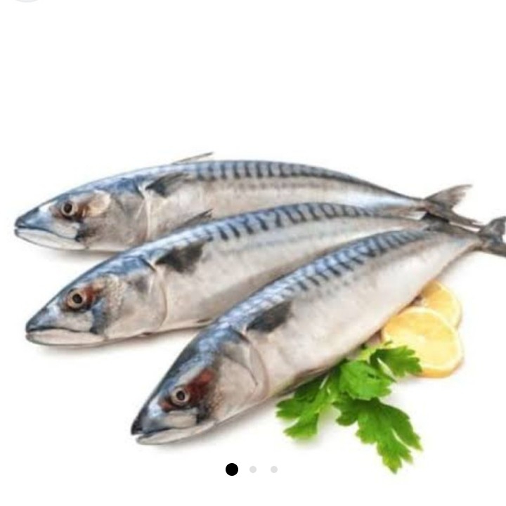 IKAN TENGGIRI 2