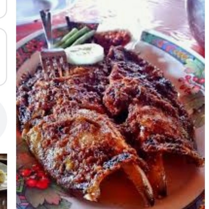 Ikab Bakar Rica Karapu