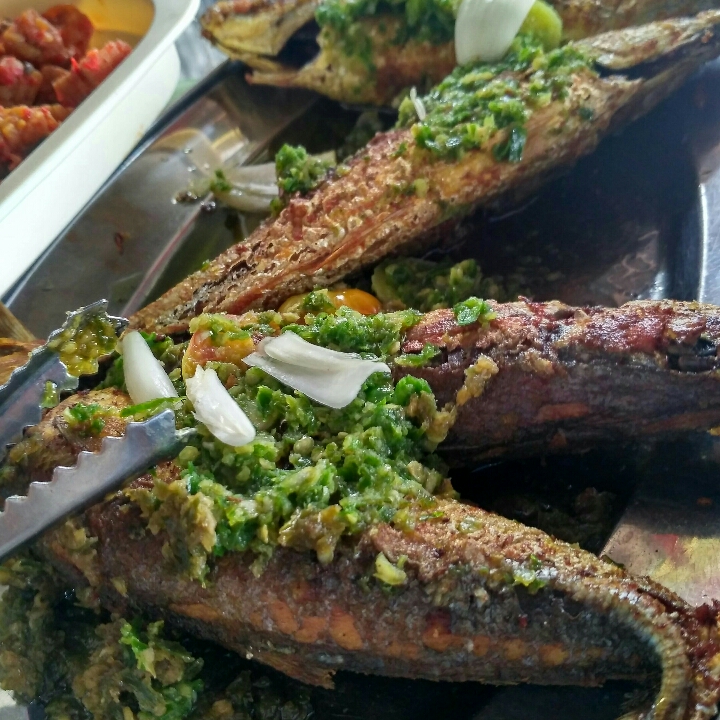 Ikan