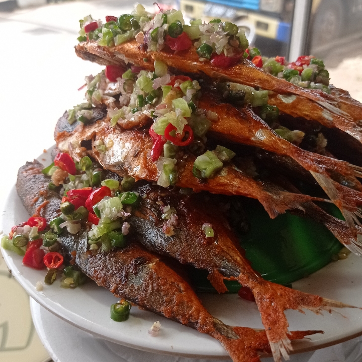 Ikan