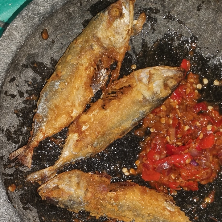 Ikan Asin Gembung 