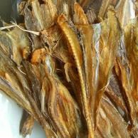 IKAN ASING