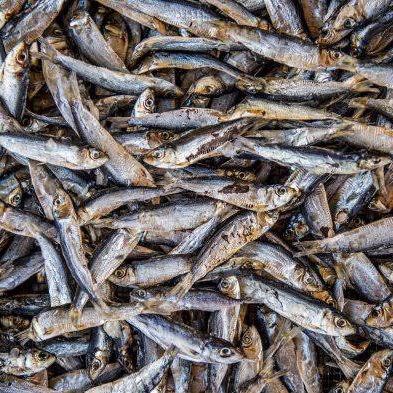 Ikan Asin Kukus