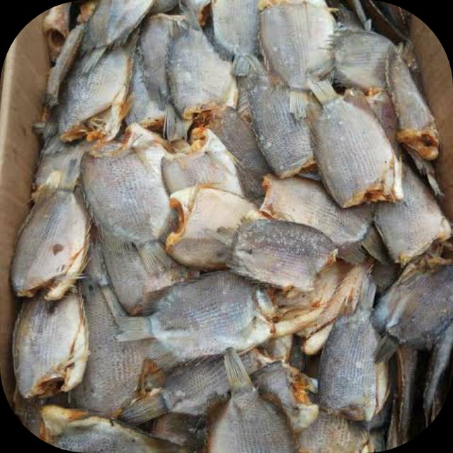 Ikan Asin Sepat