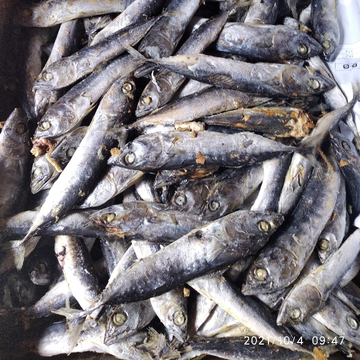 Ikan Asin Tongkol Rebus 100 Gram