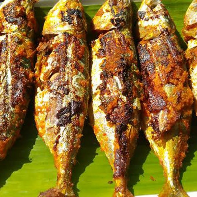 Ikan Bakar Gembung