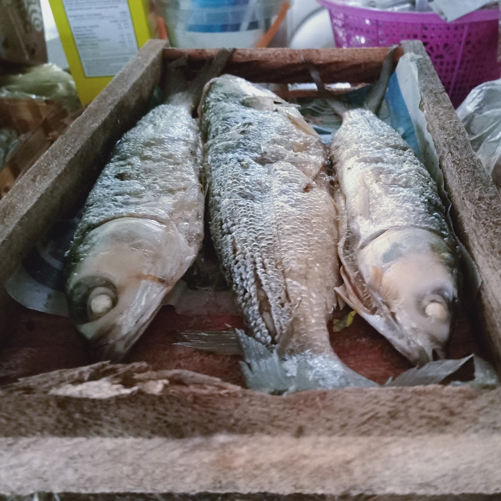 Ikan Bandeng