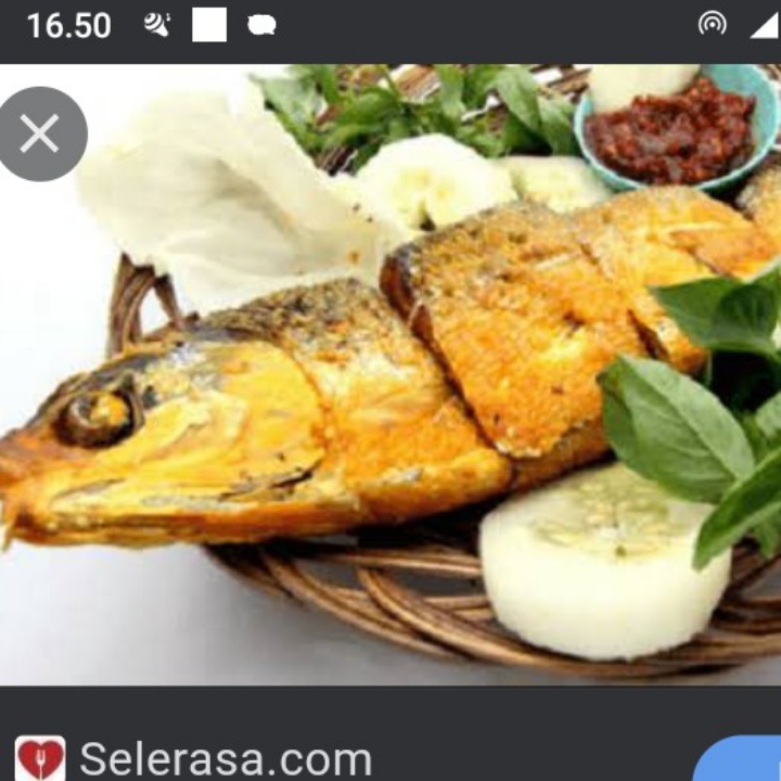 Ikan Bandeng To