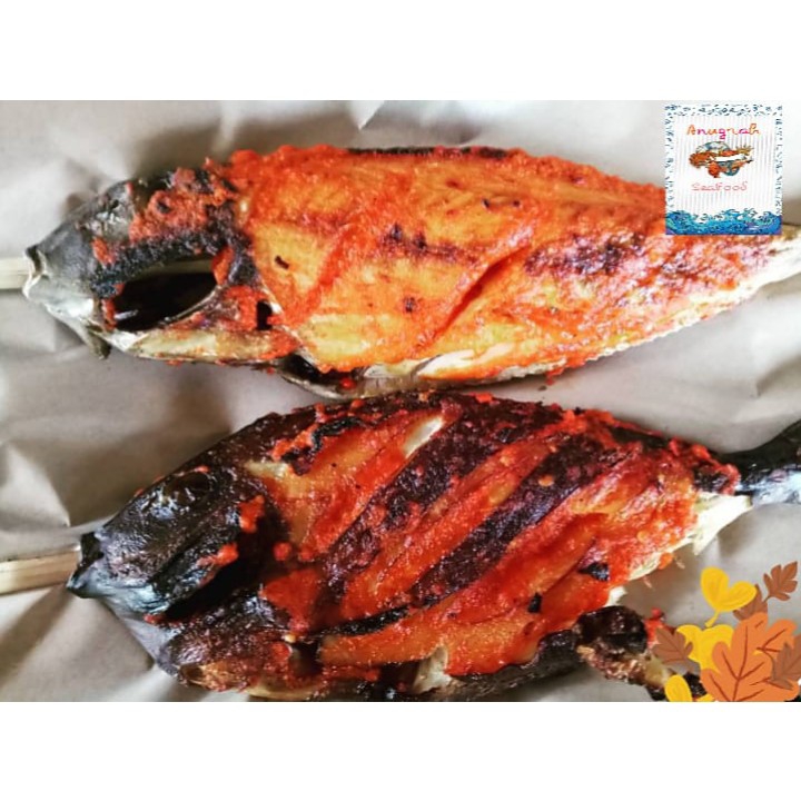 Ikan Baronang