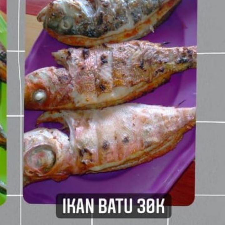 Ikan Batu