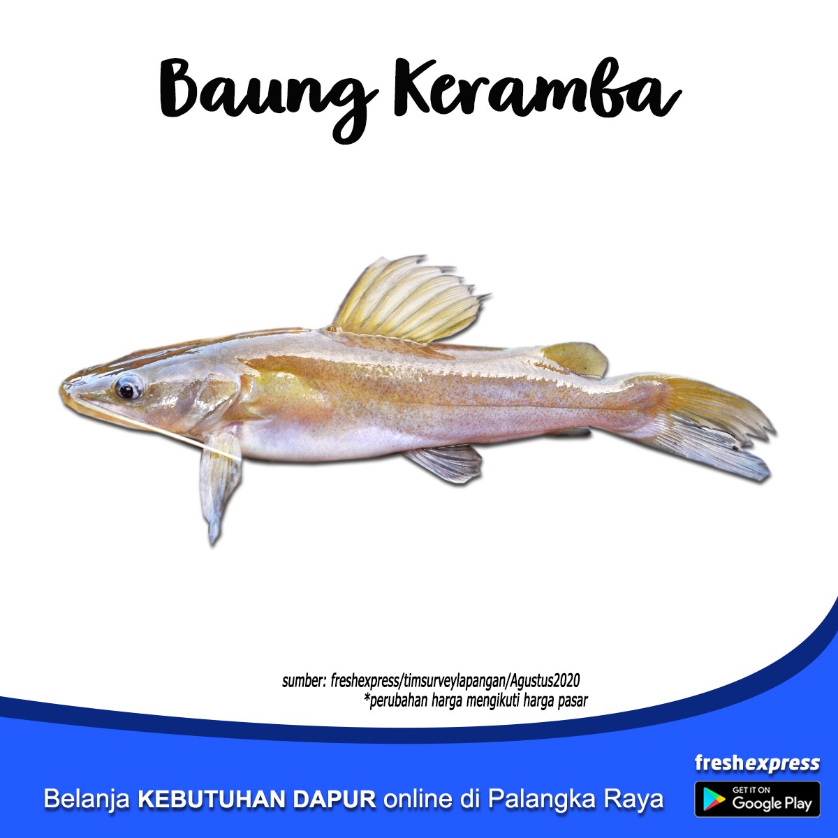 Ikan Baung 500 Gram