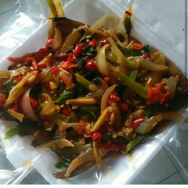 Ikan Bawal Laut
