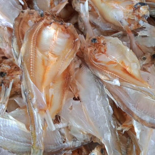 Ikan Bilis Kecil Tawar
